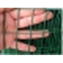 Welded Wire Mesh/Galvanized Welded Wire Mesh and PVC Coated Welded Wire Mesh/Iron Wire Mesh